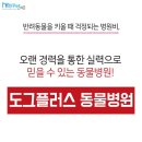 도그플러스 동물병원 이미지