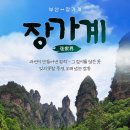 정투어여행사