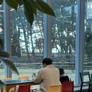 카페송림 | 아이와 봄나들이 하기 좋은 전주근교 충남 서천 브라운즈핸즈 송림동화