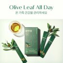 올리브스토리 이미지