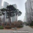 웰픽 이미지