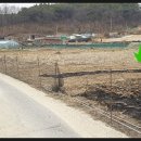 여주-1042 이미지