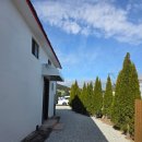 훈식 | 제주 가볼만한곳 1월 훈식이네동백밭 후기