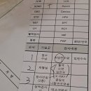 임신 33주 일상 세종 트리니움 막달검사 입원 안내사항 세종 만삭사진 홈스냅 후기