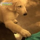 종일농장 이미지