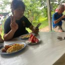 (주)코끼리투어 이미지