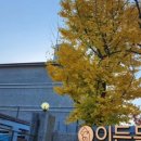 이든독 이미지