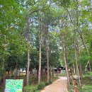 성주산자연휴양림 Daum카페