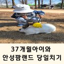 영락농장 | 37개월 아이와 안성팜랜드 당일치기 여행 내돈내산