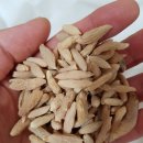 진주한약국 이미지