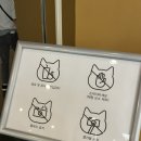 한국민속박물관 &lt;요물, 우리를 홀린 고양이&gt; 후기