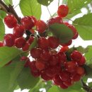 김영종농장 이미지