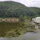 천평낚시터 이미지