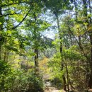 덕발어린이공원 이미지