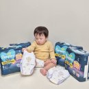 11500-9-81-01 | 팸퍼스 2026 통잠팬티 신제품 밤샘 걱정없는 밤기저귀 5단계 후기