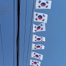 용산區.코로나19로3.1절행사대신 애국선열들의 묘역이있는 효창공원들머리에 소형태극기게양현장및 효창원外방문. 이미지