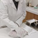 기림상조반려장례 | 반려동물장례지도사 월급 자격증 취득방법 취업 경험담