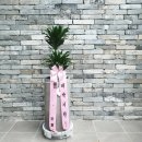 에코르아파트 앞 이미지