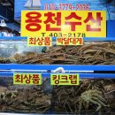 가락시장 대게 가격별 맛집 정보 용천수산 후기