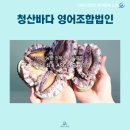 청산바다영어조합법인