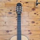 클래식기타 이미지