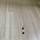 한일동물병원 이미지