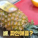 종합상회 이미지