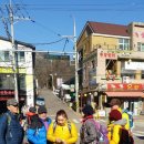 샘골 초록 Daum카페