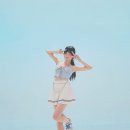 Dance The Night Away 댄스커버