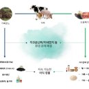 부강식품