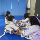 삼성유아태권도 이미지