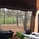 (주)미리내수련원 이미지