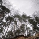 산사태 이미지