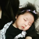 떡볶이쥬쥬 이미지