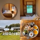 충주큰길약국 | 충주 감성 숙소 추천 서유숙 스테이 예약 조식 내돈내산 솔직후기