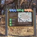 수성구립무학숲도서관 이미지