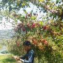 금무리농장 이미지