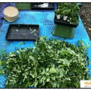 녹지농장 이미지