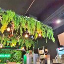 반딧불이대전 주식회사 | 행잉플랜트 천장장식, 대전술밤 주점실내 인조식물 천장벽면조경 사례