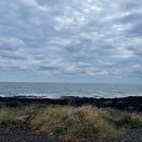 라궁목장 | 회춘, 어음리억새군락지, 원데이 요가클래스(지금,), 제주 양떼목장, 삼거리식당, 주상절리, 다인오세아노