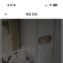 도미노피자 신도림점 이미지
