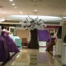 란제리코너 이미지