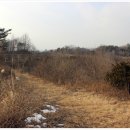 월산1리 이미지