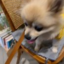 온어스(ONUS) 이미지