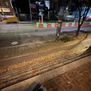 1116 | 중문과 졸업생들의 중국 샤먼 여행 후기 (1113 - 1116)