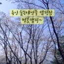 숲속에 안뜰 이미지