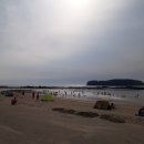 무창포해수욕장 이미지