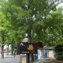 경기전(정문) 화장실 이미지