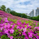 동산 Daum카페