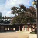 경원재 앰배서더 호텔 | 송도 호캉스 경원재 앰배서더 디럭스룸 , 조식